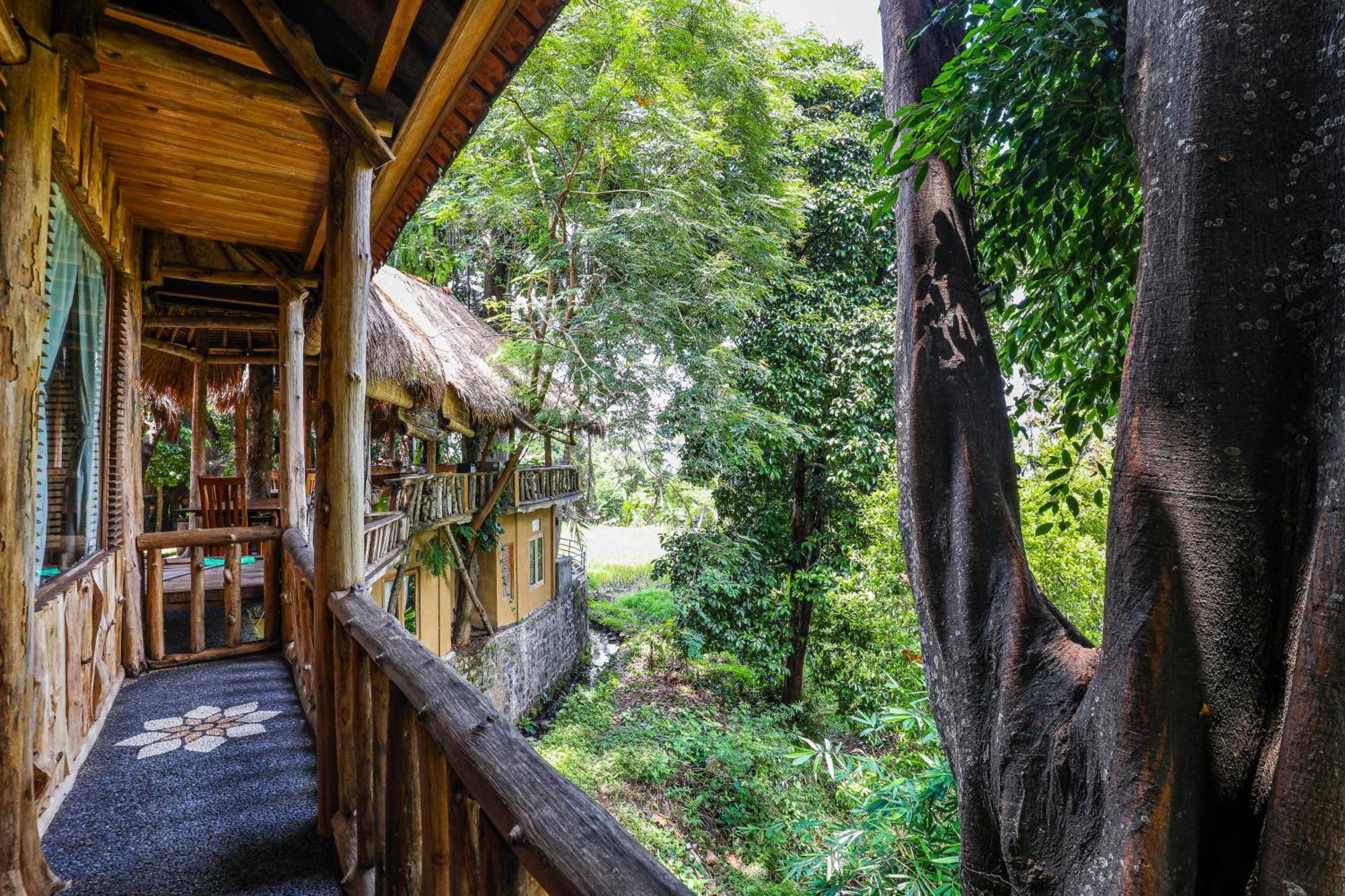 Omunity Bali Hotel Singaraja  Exterior photo